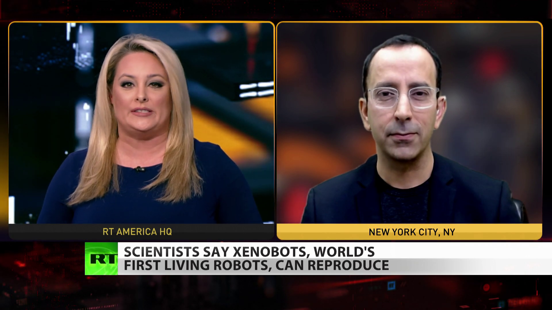 Xenobots: world's first living robots